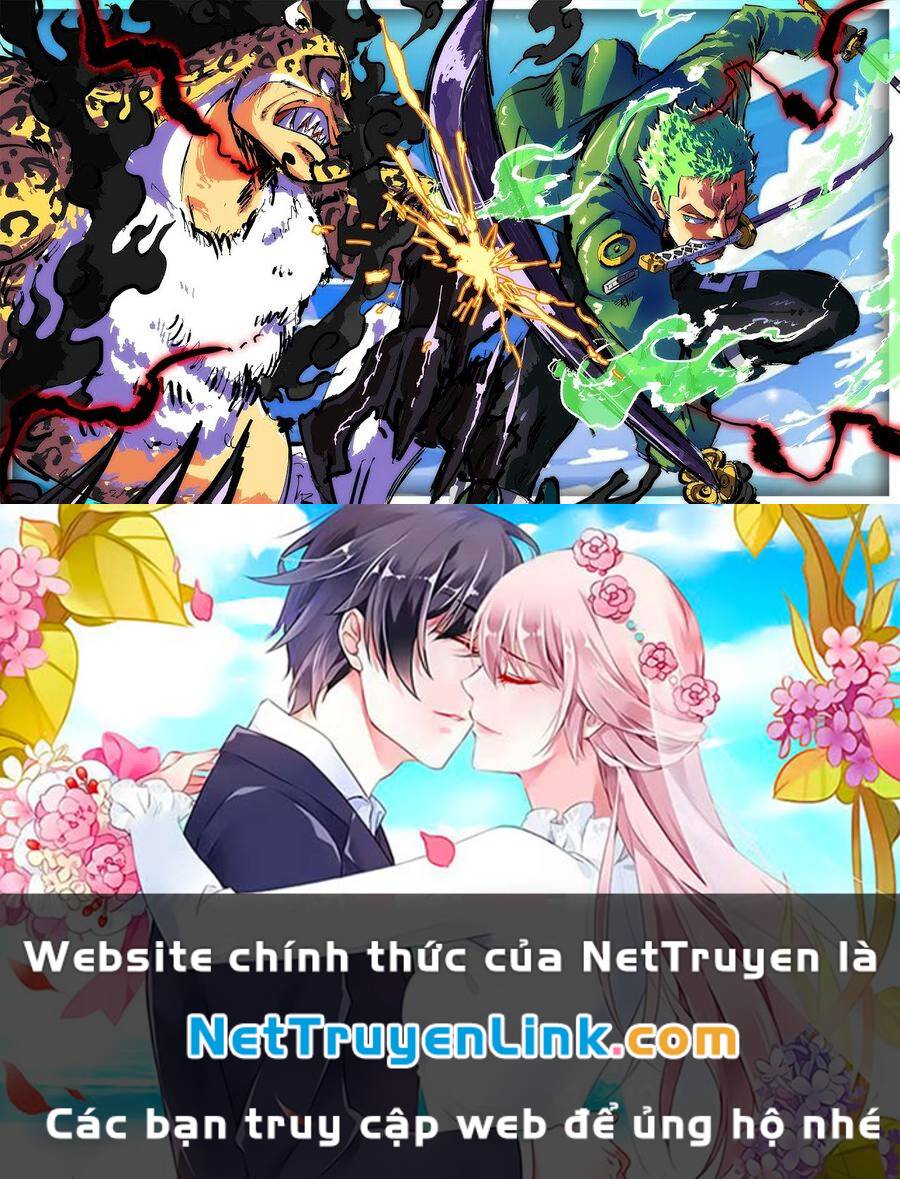 Đảo Hải Tặc - Chapter 1107 - Page 15