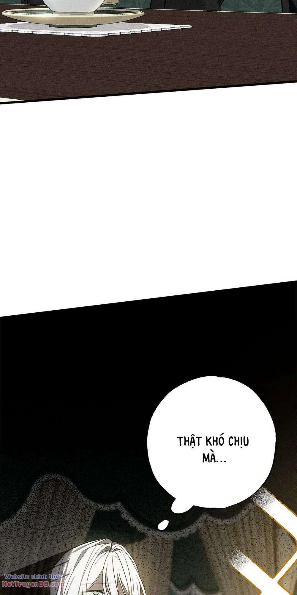 Vị Phu Quân Căm Ghét Tôi Đã Mất Trí Nhớ - Chapter 17 - Page 23