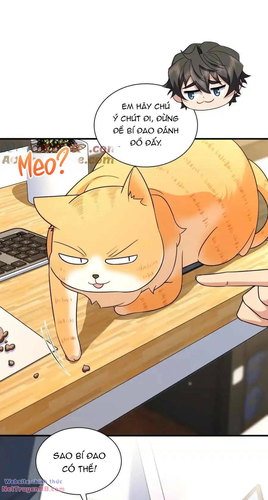 Bà Xã Nhà Tôi Đến Từ Ngàn Năm Trước - Chapter 252 - Page 68