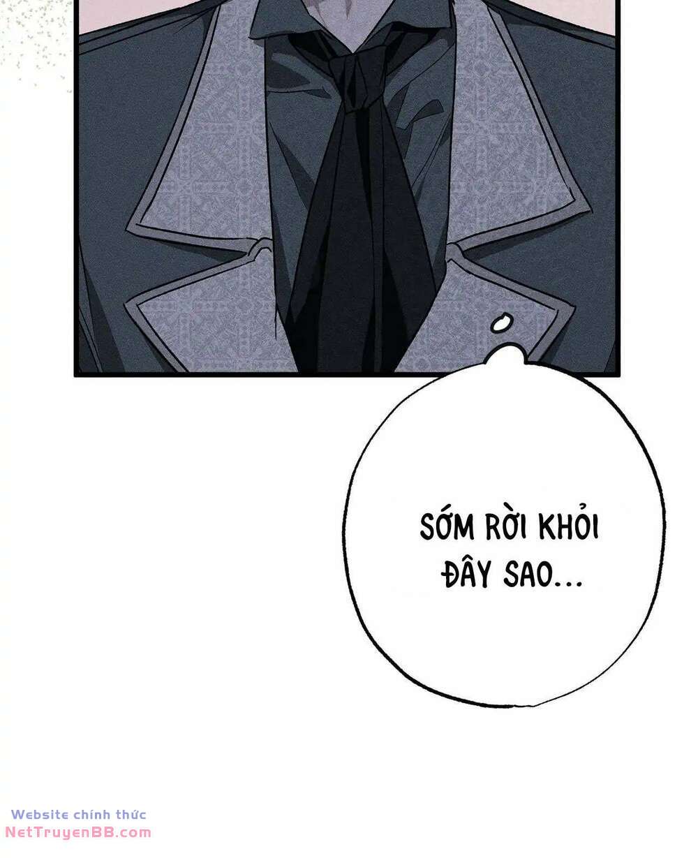 Vị Phu Quân Căm Ghét Tôi Đã Mất Trí Nhớ - Chapter 14 - Page 105