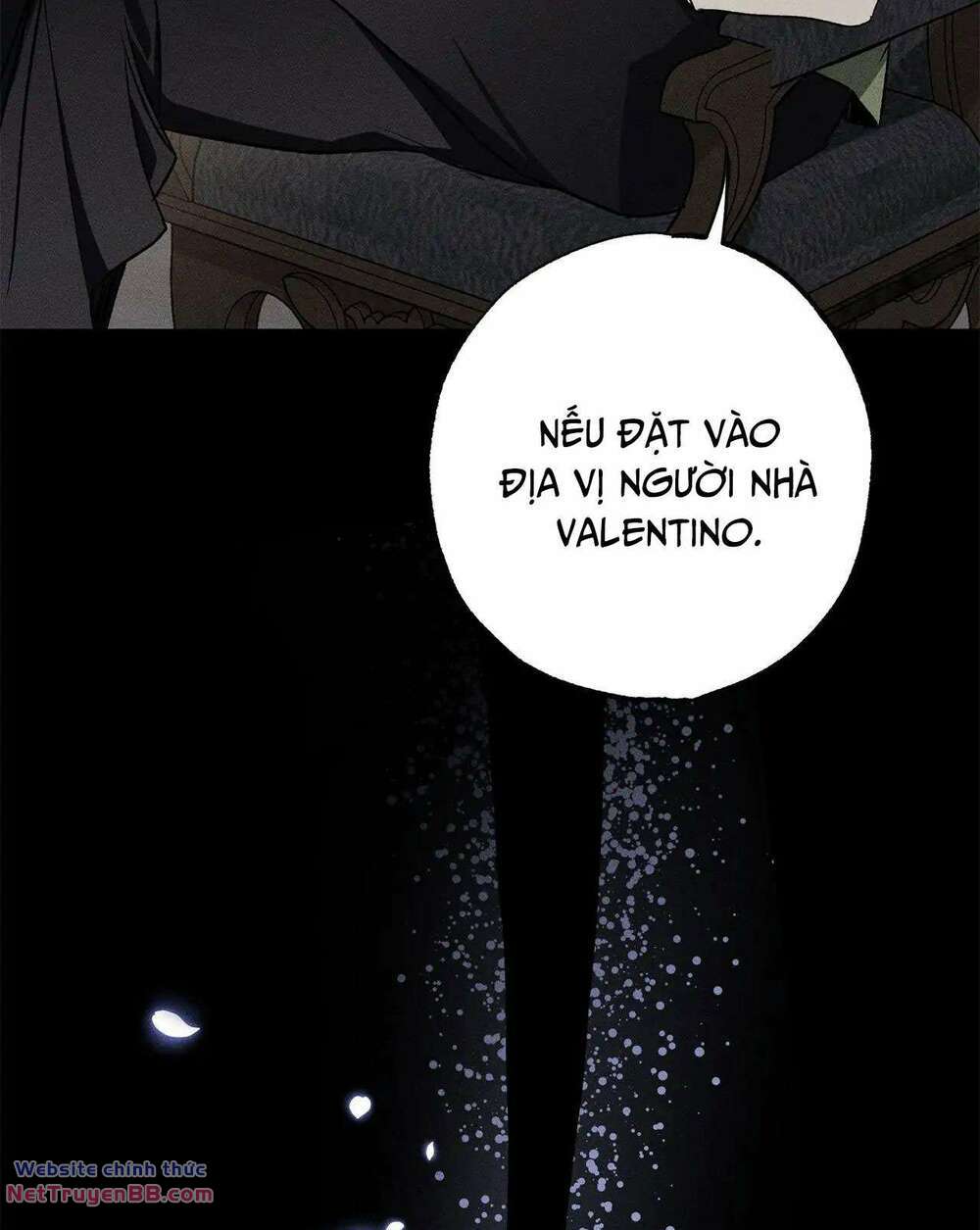 Vị Phu Quân Căm Ghét Tôi Đã Mất Trí Nhớ - Chapter 14 - Page 14