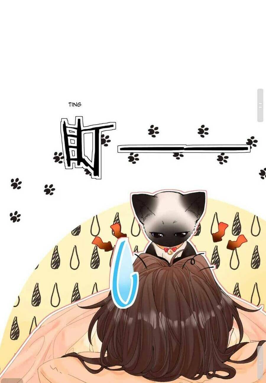 Thỉnh Đa Loan Chiếu - Chapter 8 - Page 41