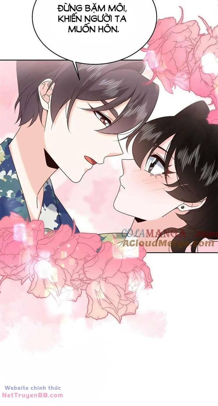 Hotboy Quốc Dân Là Nữ - Chapter 456 - Page 17