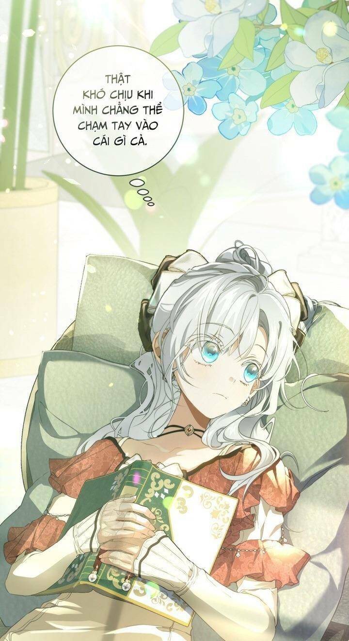 Lần Nữa Toả Sáng Chapter 81 - Trang 8