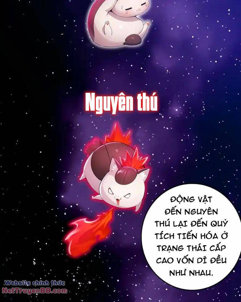 Tuyệt Sắc Đạo Lữ Đều Nói Ngô Hoàng Thể Chất Vô Địch Chapter 150 - Trang 14