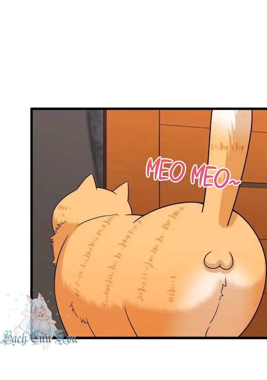 Bà Xã Nhà Tôi Đến Từ Ngàn Năm Trước - Chapter 255 - Page 12