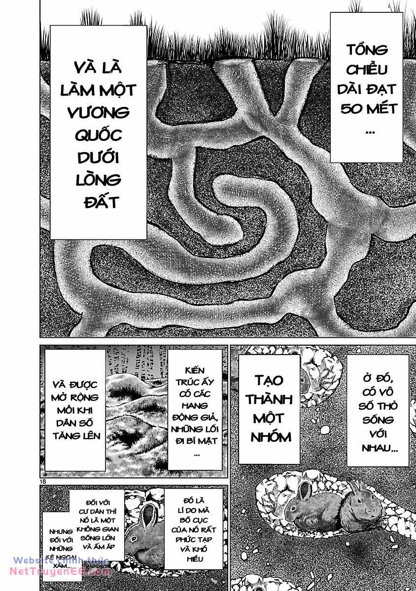 Killing Bites - Chapter 18 - Page 21