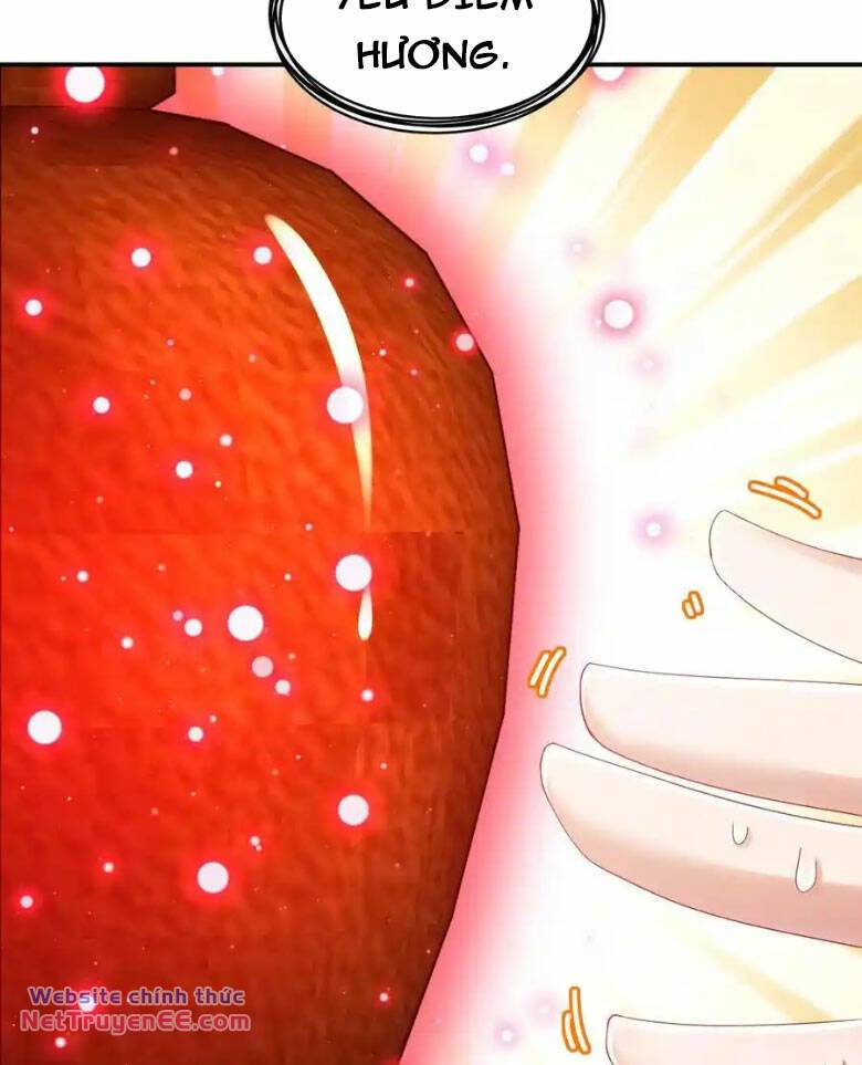 Tuyệt Sắc Đạo Lữ Đều Nói Ngô Hoàng Thể Chất Vô Địch Chapter 163 - Trang 11