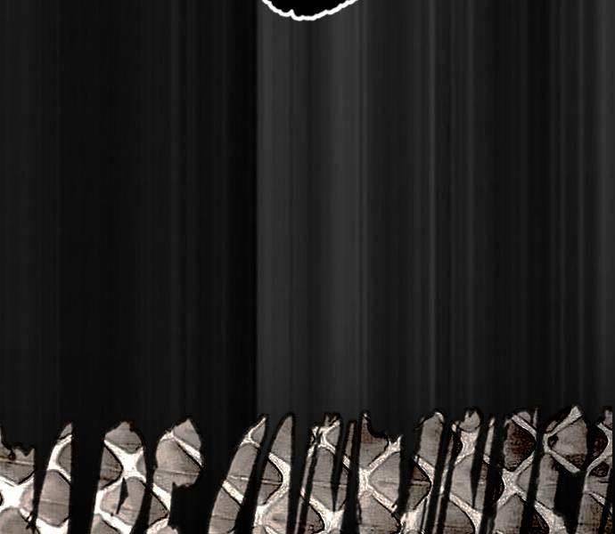 Thể Thao Cực Hạn - Chapter 489.5 - Page 209