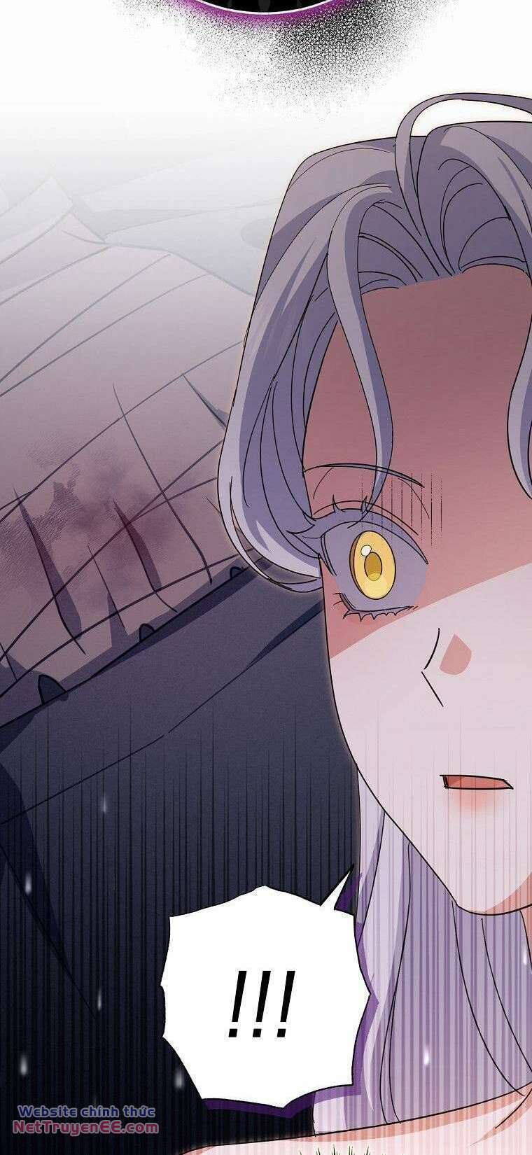 Vị Hôn Phu Phản Diện Cản Trở Con Đường Hoa Của Tôi - Chapter 15 - Page 17