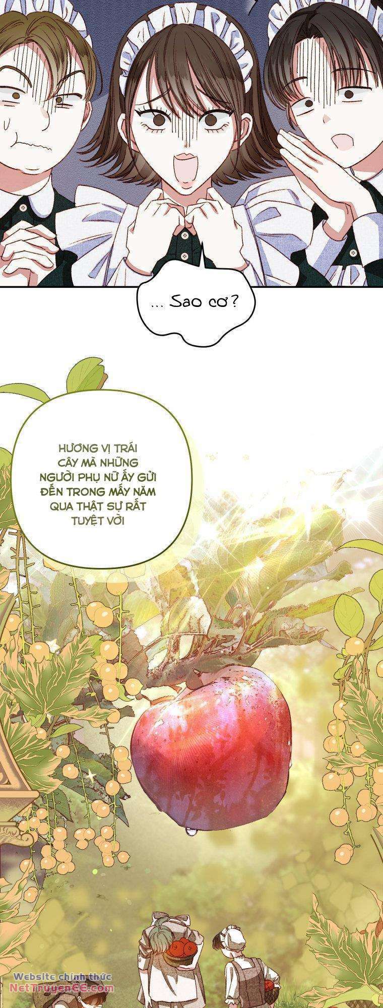 Trở Thành Hầu Nữ Còn Quan Trọng Hơn Là Làm Công Chúa - Chapter 3 - Page 18