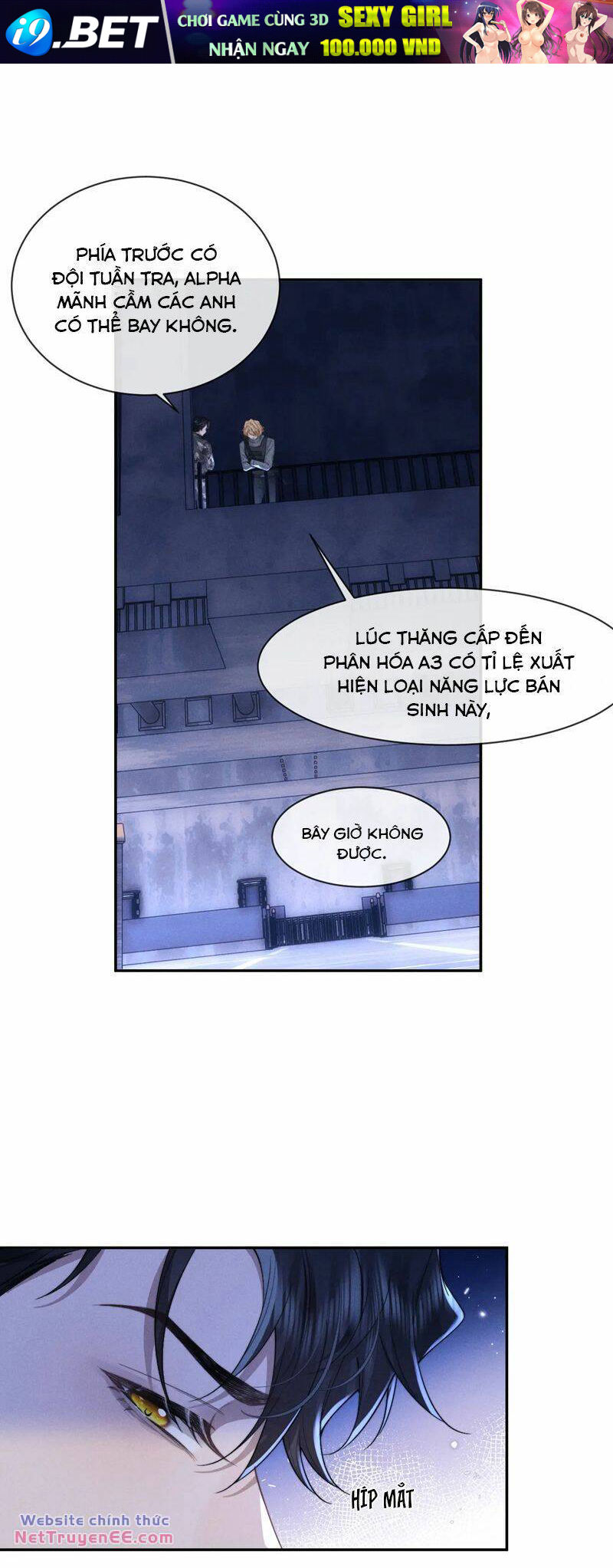 Chấp Sự Thỏ Cụp Tai - Chapter 99 - Page 8
