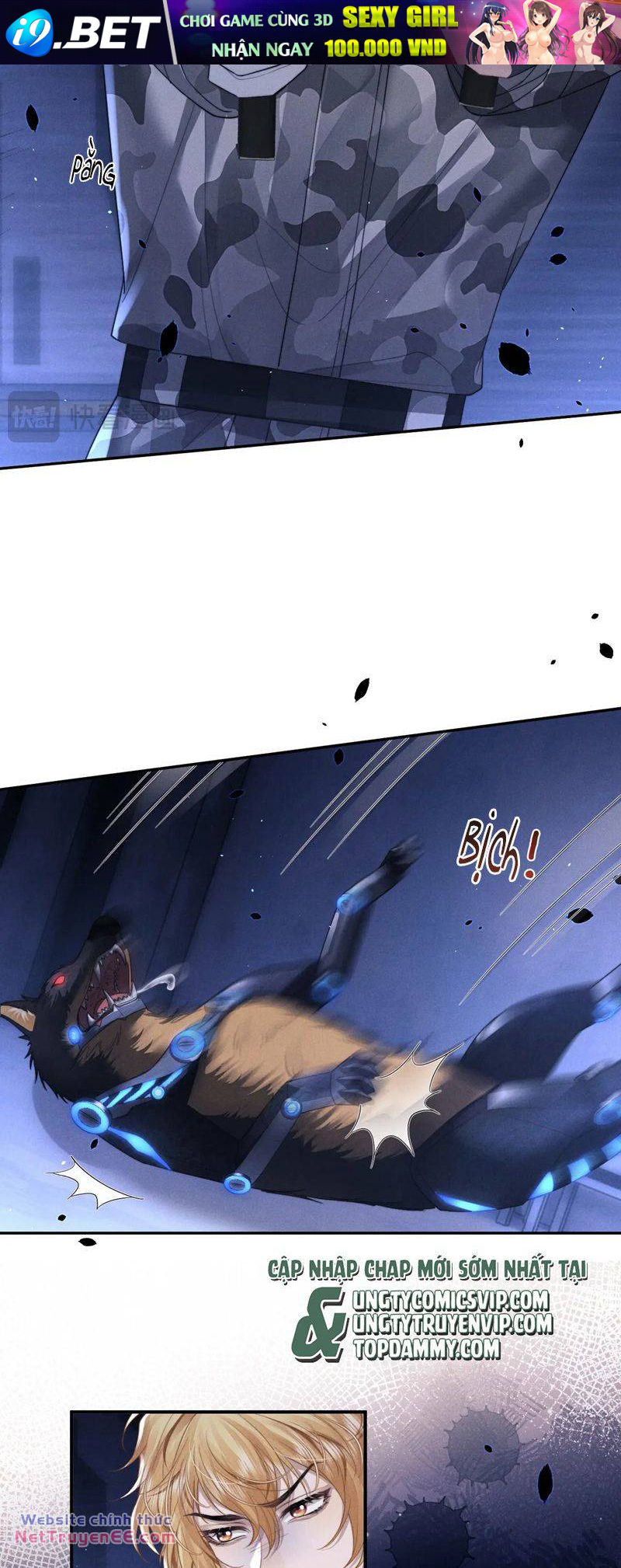 Chấp Sự Thỏ Cụp Tai - Chapter 100 - Page 12