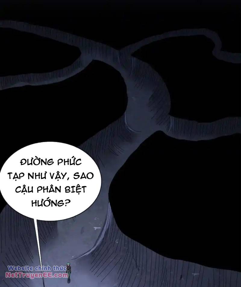 Tuyệt Sắc Đạo Lữ Đều Nói Ngô Hoàng Thể Chất Vô Địch - Chapter 195 - Page 11