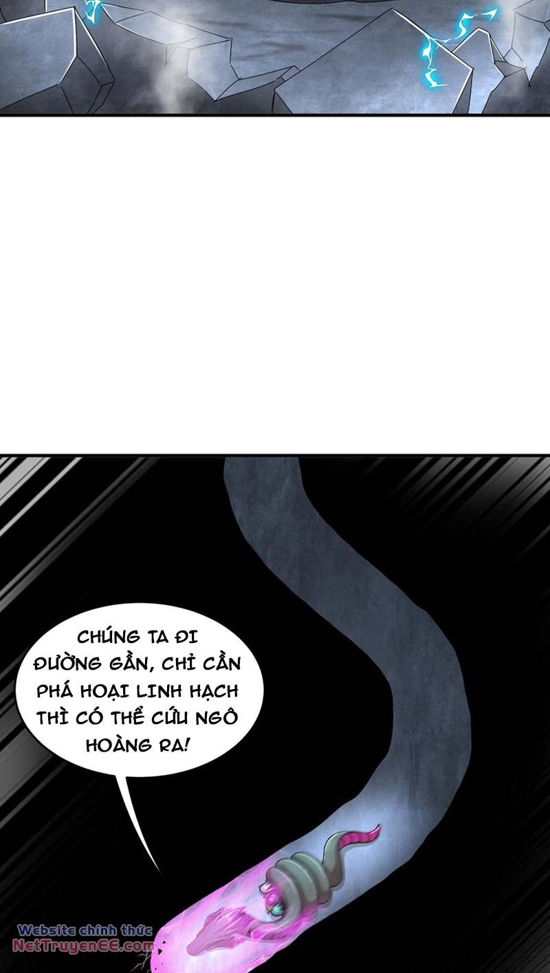 Tuyệt Sắc Đạo Lữ Đều Nói Ngô Hoàng Thể Chất Vô Địch Chapter 196 - Trang 10