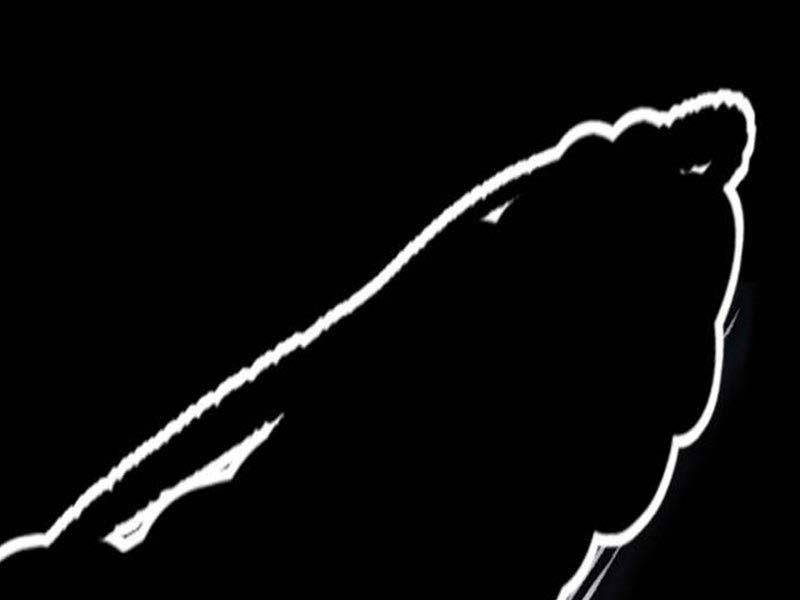 Thể Thao Cực Hạn - Chapter 492.5 - Page 216