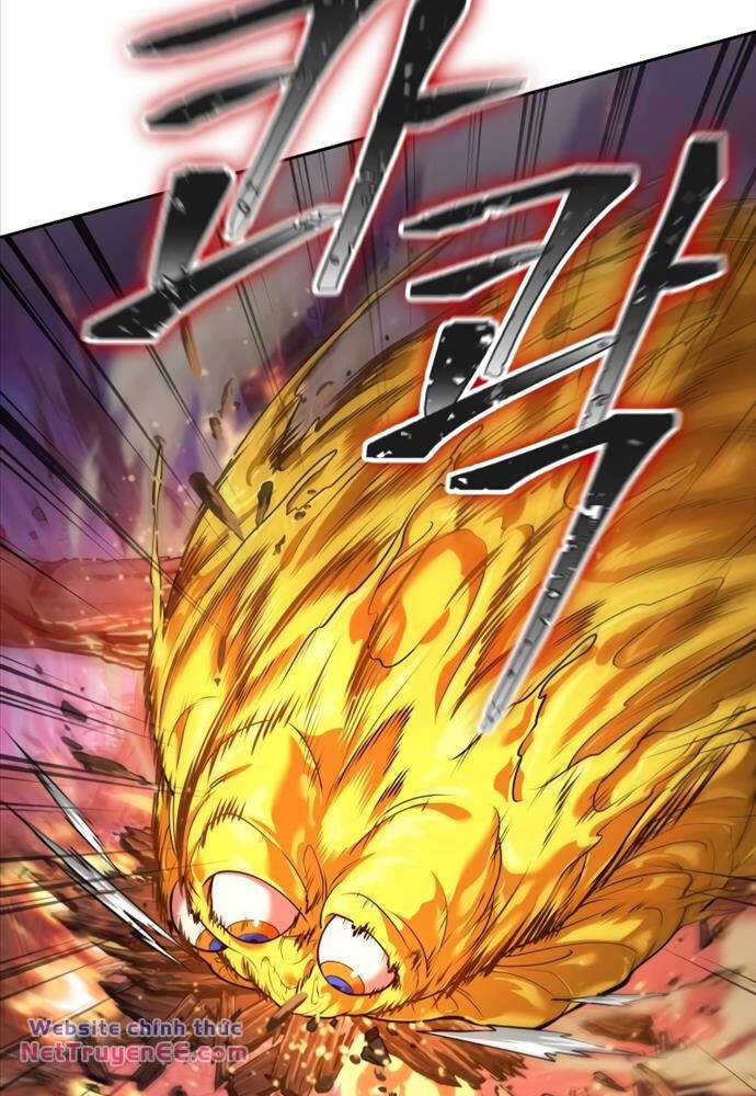 Mạo Hiểm Giả Cuối Cùng Chapter 3 - Trang 24