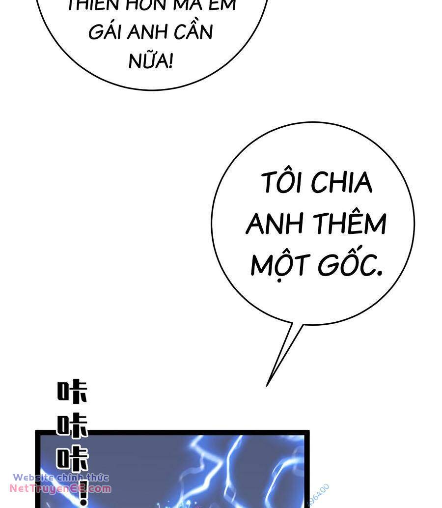 Thiên Phú Của Ngươi Giờ Là Của Ta - Chapter 72 - Page 28