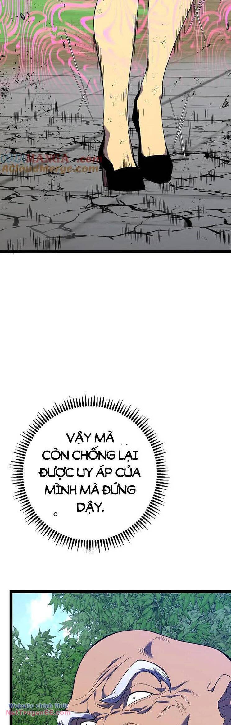 Thiên Phú Của Ngươi Giờ Là Của Ta - Chapter 74 - Page 25