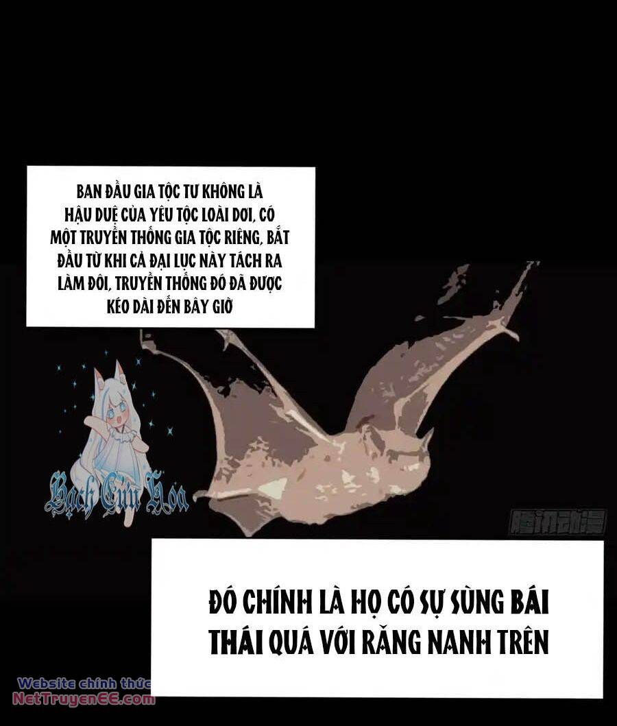 Ta Nhặt Được Thuộc Tính Tại Tu Chân Giới - Chapter 249 - Page 11