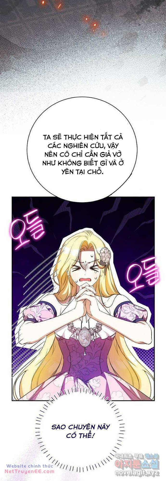 Hình Như Tôi Đã Xuyên Vào Cuốn Tiểu Thuyết Nào Đó Chapter 28 - Trang 13