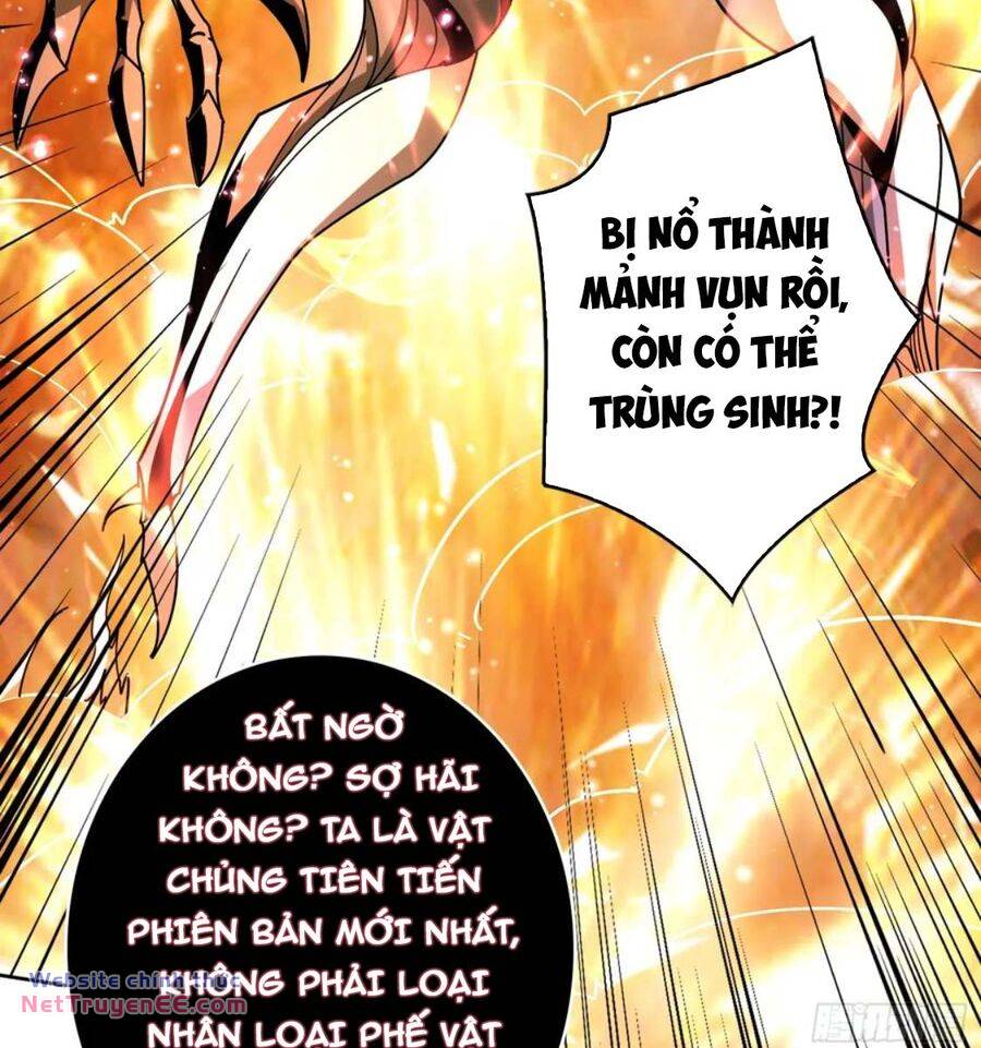 Vừa Chơi Đã Có Tài Khoản Vương Giả - Chapter 331 - Page 11