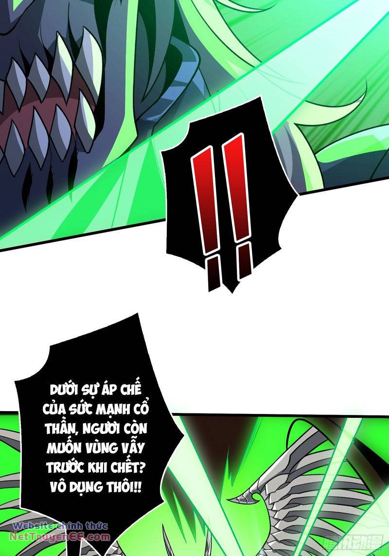 Vừa Chơi Đã Có Tài Khoản Vương Giả - Chapter 333 - Page 24