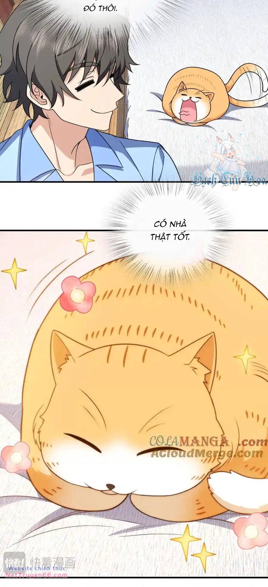 Bà Xã Nhà Tôi Đến Từ Ngàn Năm Trước - Chapter 264 - Page 17