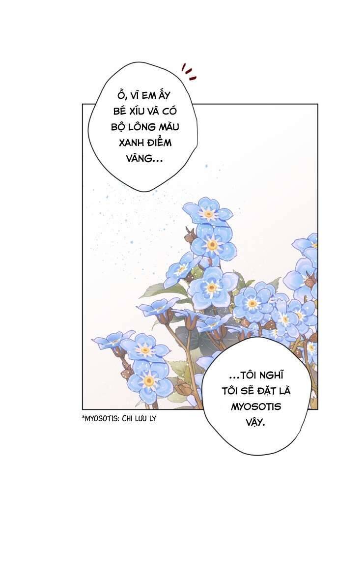 Lời Thú Nhận Của Chúa Tể Bóng Tối - Chapter 11 - Page 13