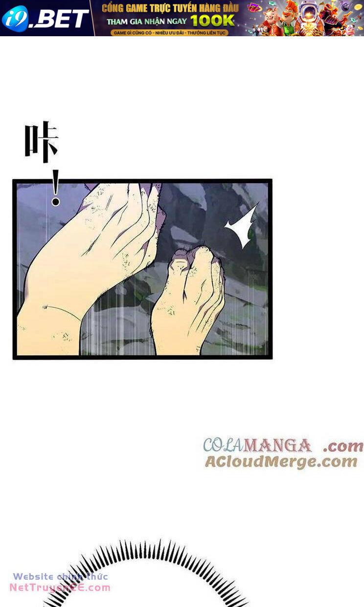 Thiên Phú Của Ngươi Giờ Là Của Ta - Chapter 75 - Page 13