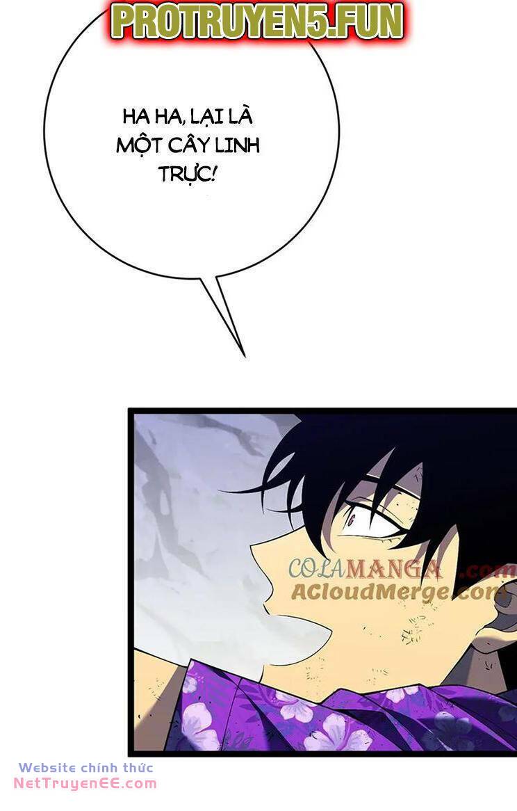 Thiên Phú Của Ngươi Giờ Là Của Ta - Chapter 75 - Page 17