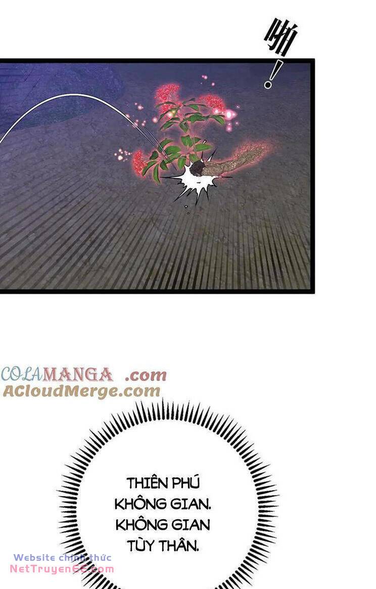 Thiên Phú Của Ngươi Giờ Là Của Ta - Chapter 75 - Page 25