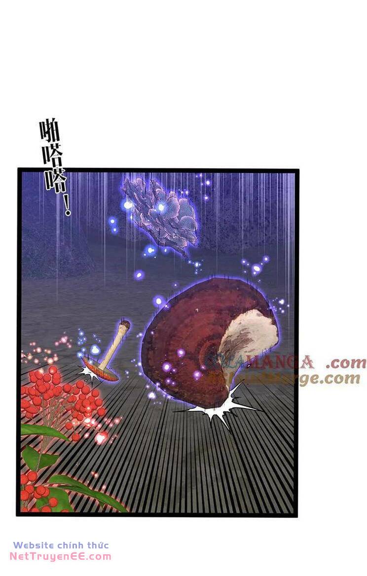 Thiên Phú Của Ngươi Giờ Là Của Ta - Chapter 75 - Page 27