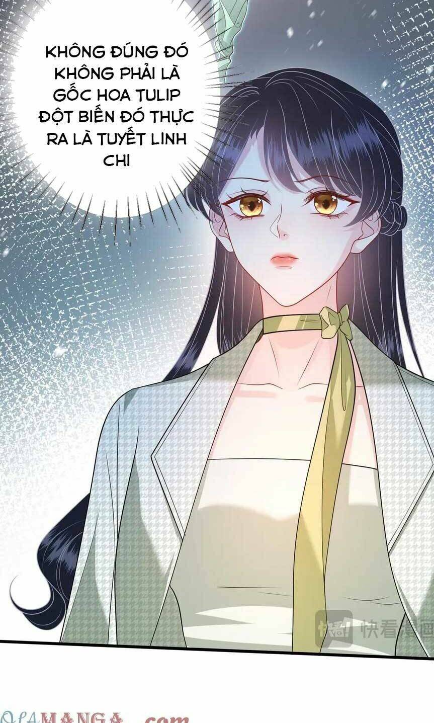 Thiên Kim Toàn Năng Đại Tài - Chapter 138 - Page 31