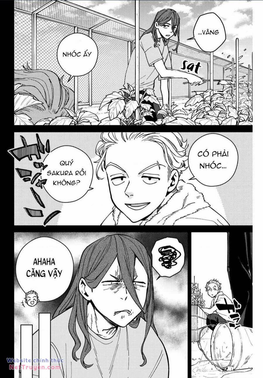 Wind Breaker - Chapter 112 - Page 10