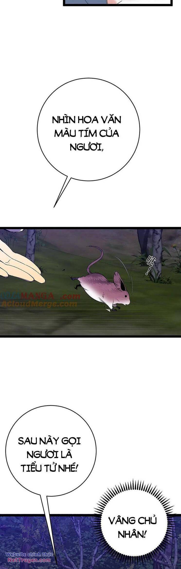 Thiên Phú Của Ngươi Giờ Là Của Ta - Chapter 76 - Page 10