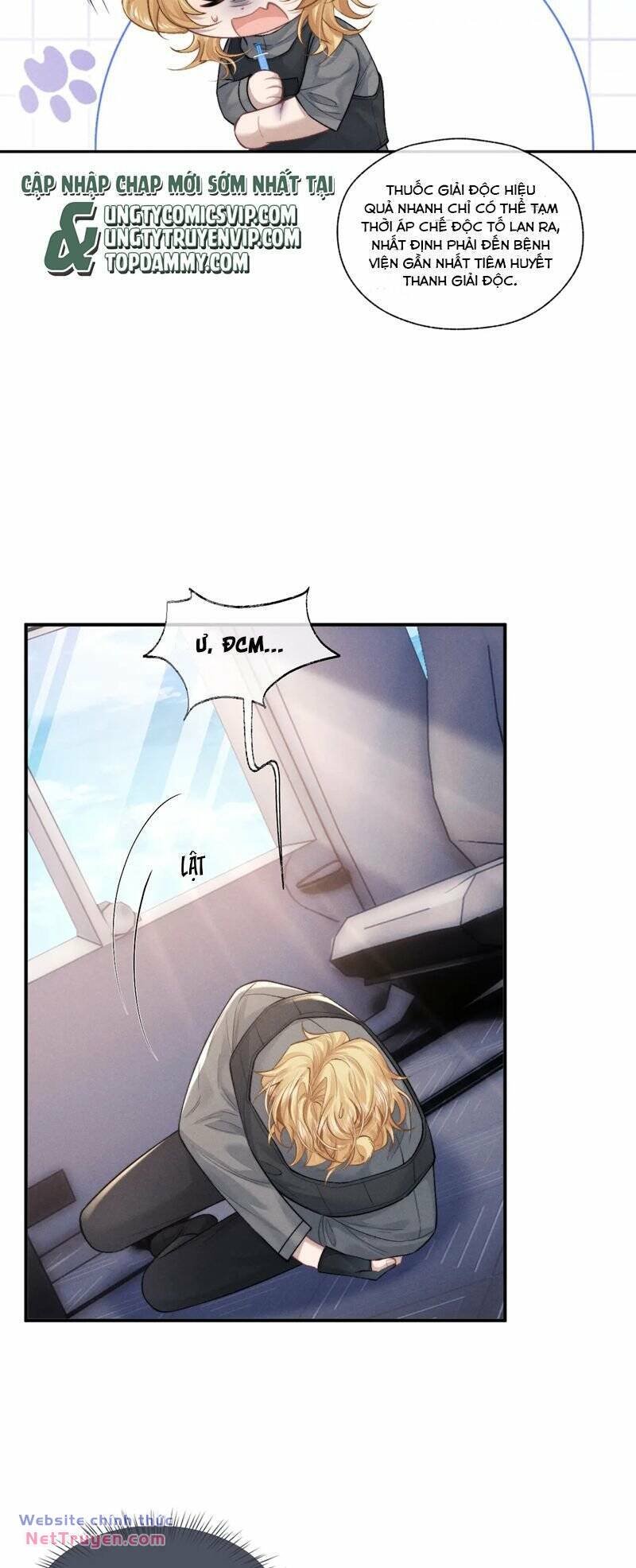 Chấp Sự Thỏ Cụp Tai - Chapter 104 - Page 9