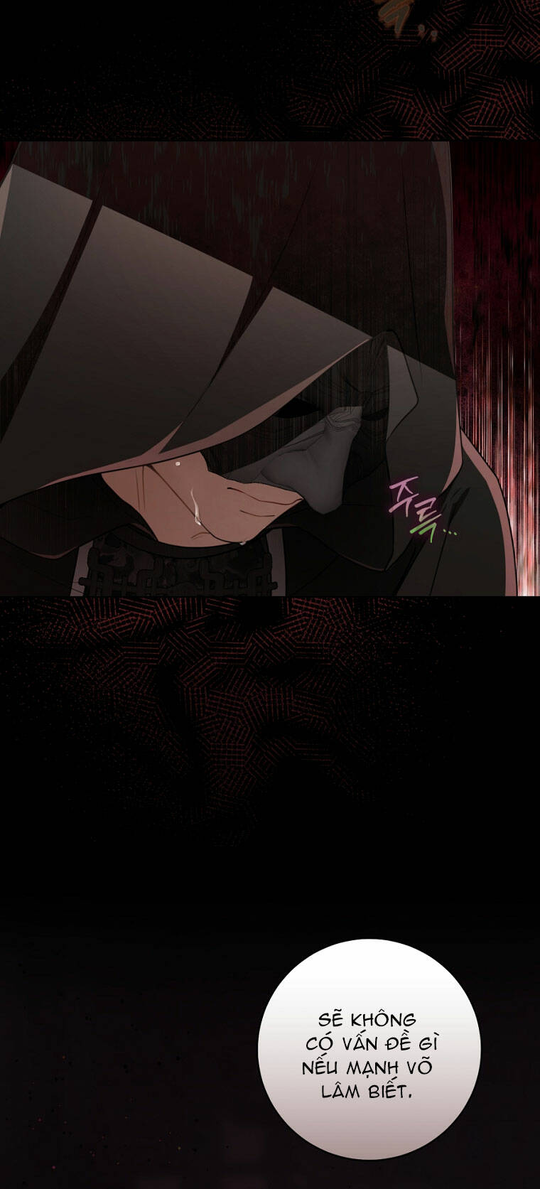 Trở Thành Cô Cháu Gái Bị Khinh Miệt Của Gia Tộc Võ Lâm - Chapter 55.1 - Page 22