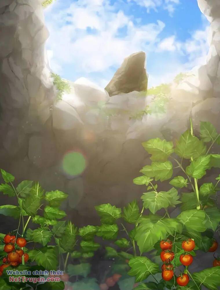 Làm Nông Dân Trong Tòa Tháp Thử Thách - Chapter 57 - Page 133