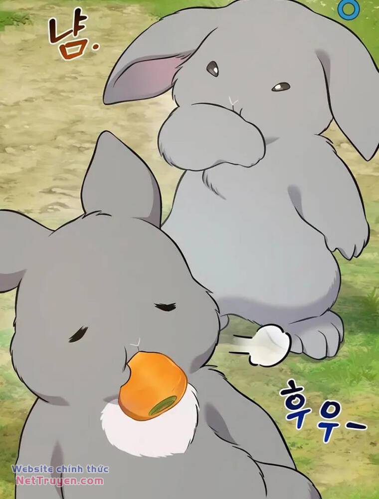 Làm Nông Dân Trong Tòa Tháp Thử Thách - Chapter 57 - Page 17