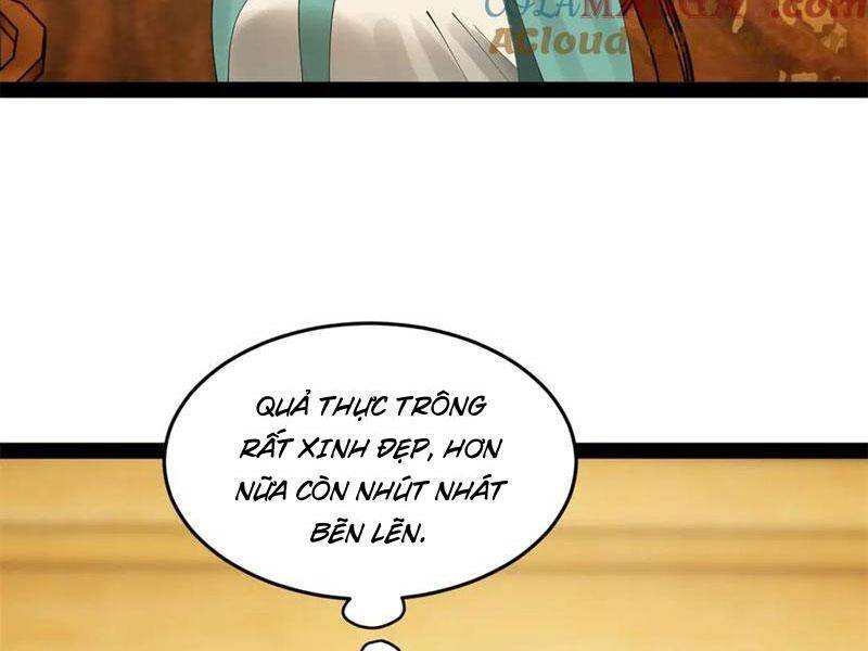 Chàng Rể Mạnh Nhất Lịch Sử - Chapter 185 - Page 22