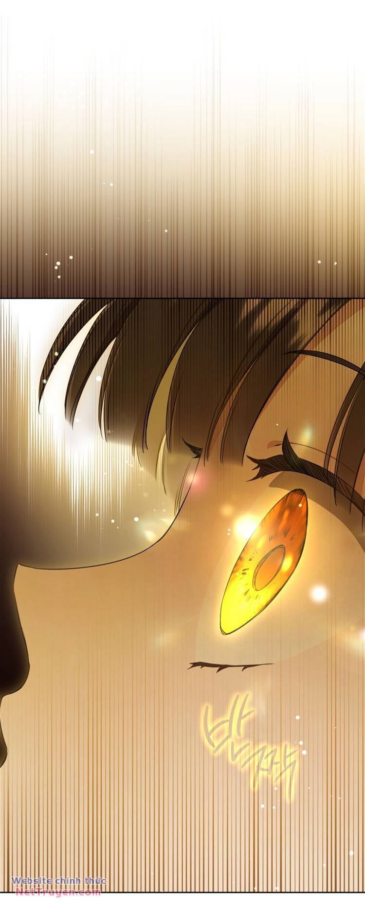 Trở Thành Cô Cháu Gái Bị Khinh Miệt Của Gia Tộc Võ Lâm - Chapter 56.1 - Page 10