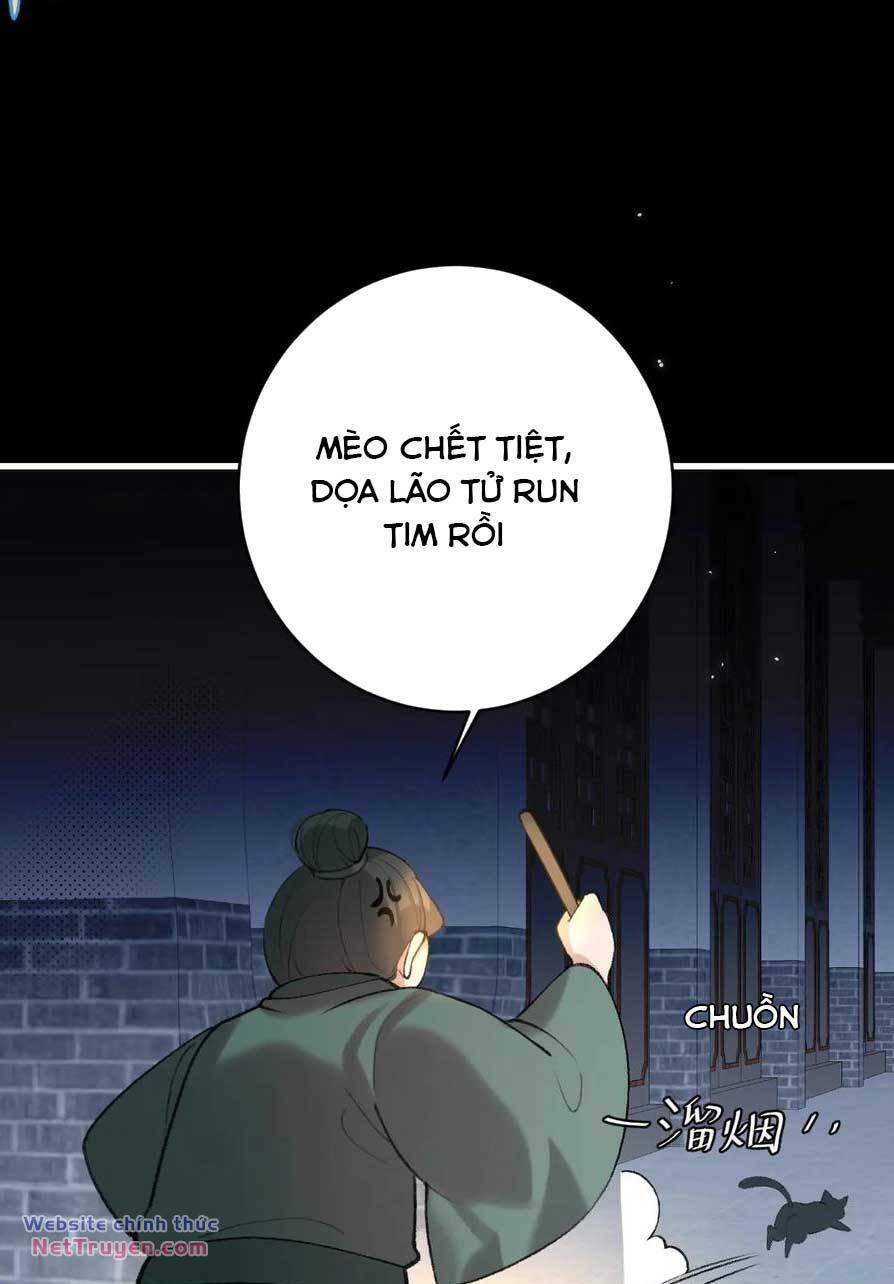 Cách Thức Sinh Tồn Của Pháo Hôi Khuê Nữ Chapter 263 - Trang 13