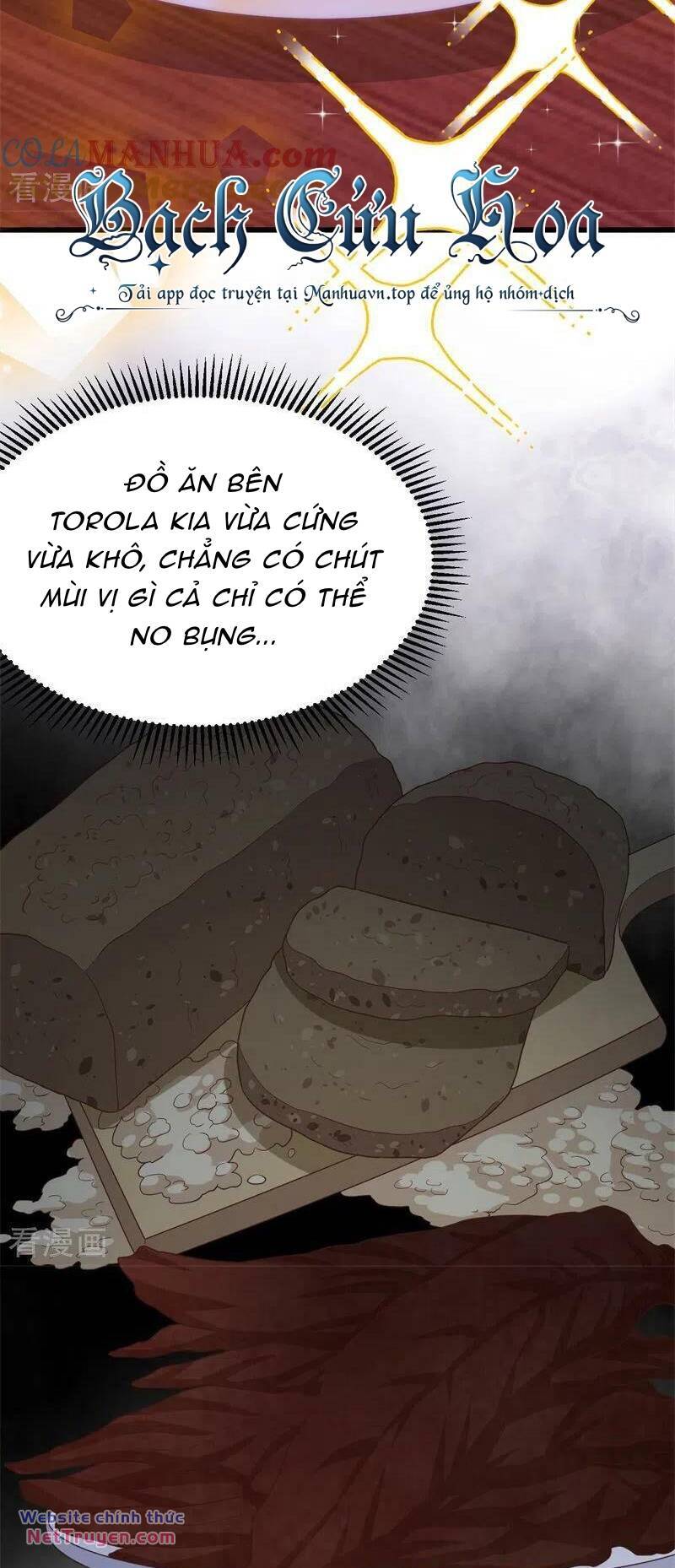 Từ Hôm Nay Bắt Đầu Làm Thành Chủ - Chapter 448 - Page 26