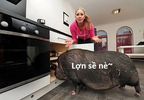 Hổ Đến Chơi Nhà - Chapter 85 - Page 82