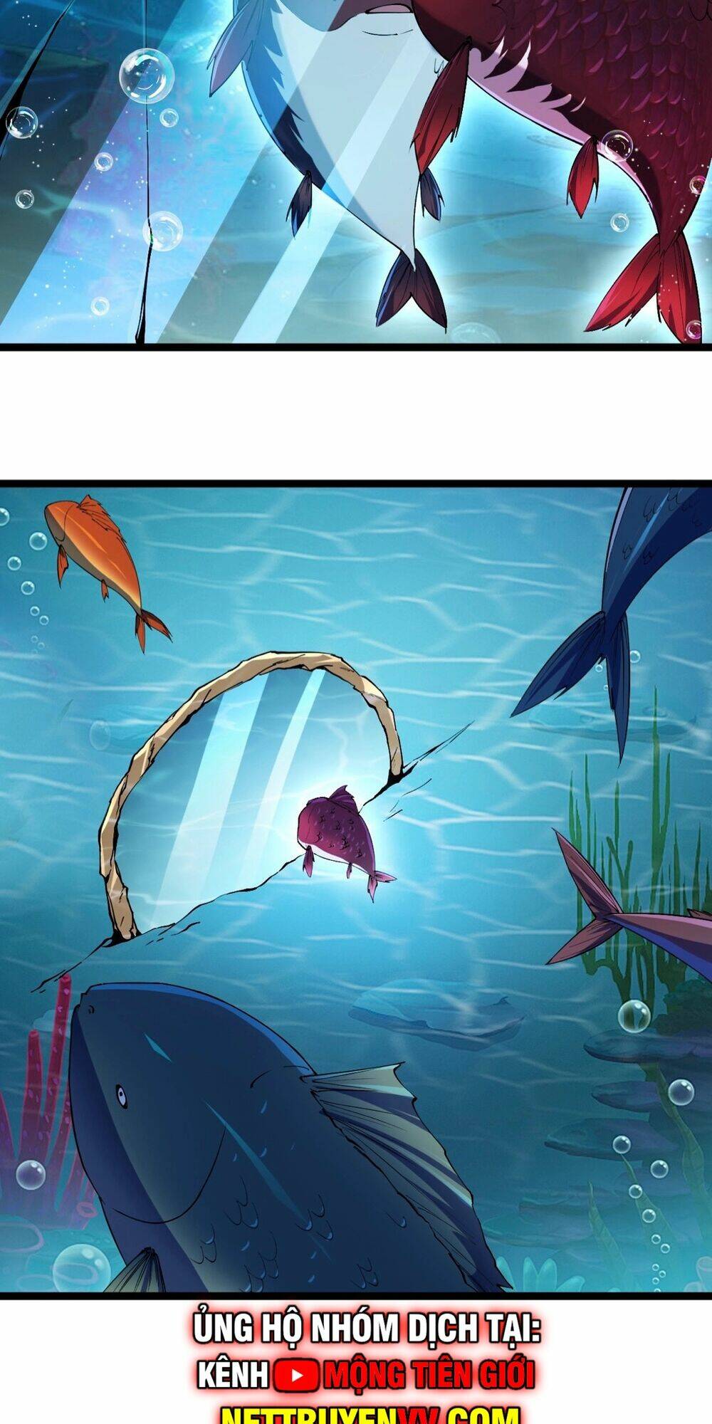 Linh Khí Khôi Phục: Từ Cá Chép Tiến Hoá Thành Thần Long - Chapter 1 - Page 38