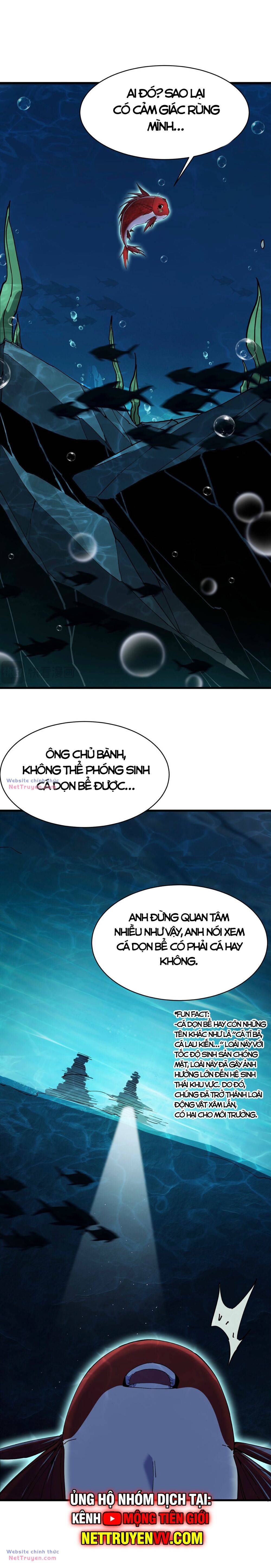 Linh Khí Khôi Phục: Từ Cá Chép Tiến Hoá Thành Thần Long - Chapter 3 - Page 21