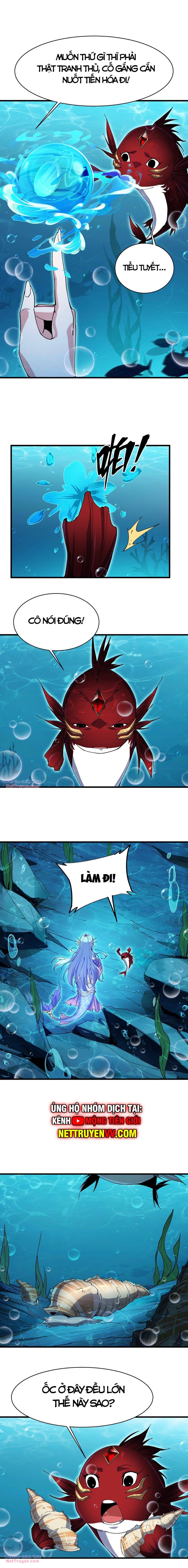 Linh Khí Khôi Phục: Từ Cá Chép Tiến Hoá Thành Thần Long - Chapter 3 - Page 5