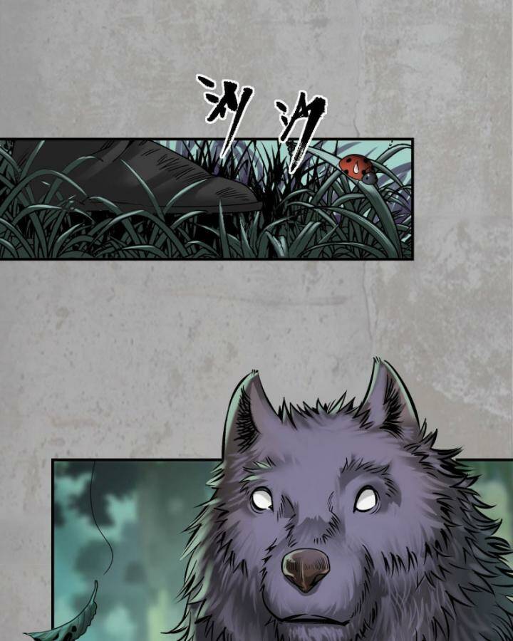 Tàng Phong Hành - Chapter 195 - Page 26