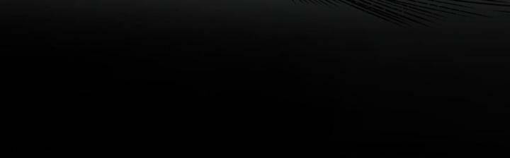 Tàng Phong Hành - Chapter 207 - Page 46